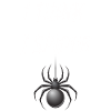 I Think I Spider Grafik