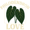 Philodendron Love