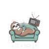 Sloth Motif – Nothing Experienced Today