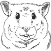 Hamstergesicht niedliches Nagertier-Sketch