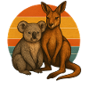 Koala and kangaroo