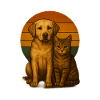 Labrador et chat