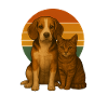 Beagle und Katze