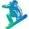 Direct Snowboard Statement