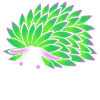 Leaf Sheep Sea Slug Underwater