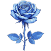Rose bleue géométrique