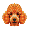 Orange Geometric Poodle