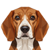 Polygon Beagle Portrait