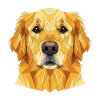 Geometric Golden Retriever Head