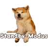 Akita im Standby-Modus