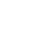 Bearded Collie