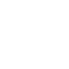 Border Terrier