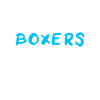 Boxer Dog