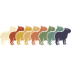 Regenbogen Kamelreihe