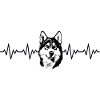 Battement cardiaque ECG Husky