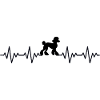 Poodle ECG Heartbeat