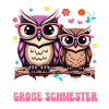 Big sister Owls Older baby Siblings