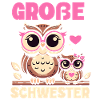 Big sister Owls Older baby Siblings