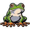 Cheerful Frog Cartoon