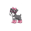 Schnauzer Sayings Funny Schnauzer Gift