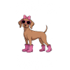 Don Vizsla Drôle de Vizsla