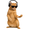 Luftgitarre Air Guitar
