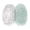Fingerprint & Tree Rings – Nature Identity