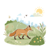 Renard en prairie au soleil