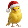 Yellow canary as poinsettia