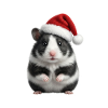 Petit hamster aux joues pleines