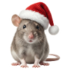 Clever rat with red Christmas hat