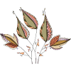 feuilles