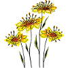 Blumen
