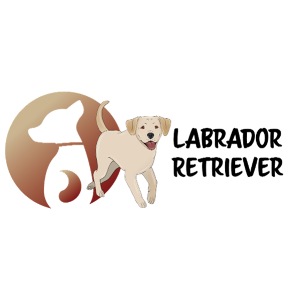 Labrador Tassendesign