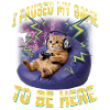Chat gamer drôle