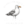 Seagull: I'm not upset!
