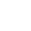 Portrait d'un Golden Retriever 