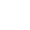Mechanic Legend