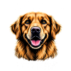 Don't Stop Retrievin Golden