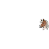 Linkin Cinnamon