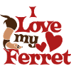 J’aime mon furet
