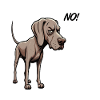 No Weimaraner Weimaraner Lover Weimaraner Dog