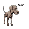 No Weimaraner Weimaraner Lover Weimaraner Dog