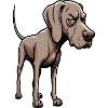 Weimaraner Weimaraner Lovers Weimaraner Keeper
