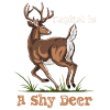 Capital is a shy deer!