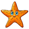 Seestern
