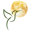 Lune et Colibri en aquarelle