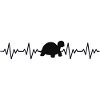 Tortoise ECG heartbeat