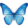 Geometric Blue Butterfly