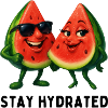Duo pastèque au soleil